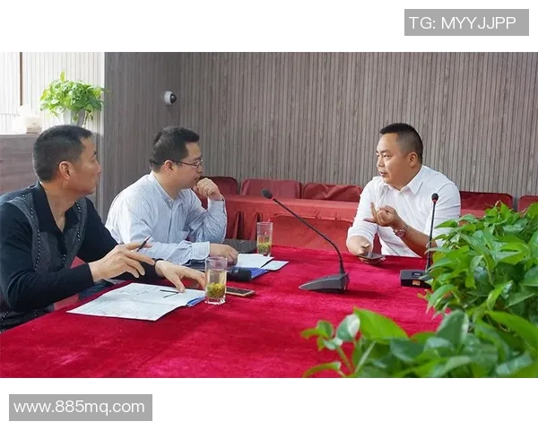 深圳羽毛球队灵活性分析与战术调整的深度探讨 深圳羽毛球队灵活性分析与战术调整的深度探讨