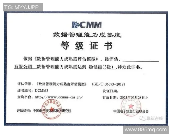 南京极限运动队实力分析与表现评估数据解读