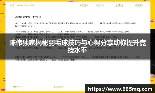 陈伟独家揭秘羽毛球技巧与心得分享助你提升竞技水平